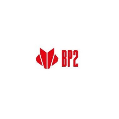 Zalecenia producenta BP2